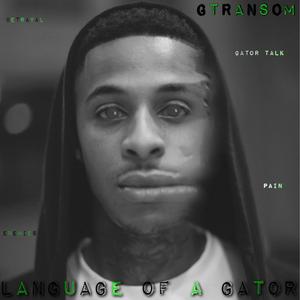 Wit You (feat. Jbaybee)