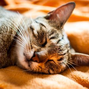 今天也想见到你