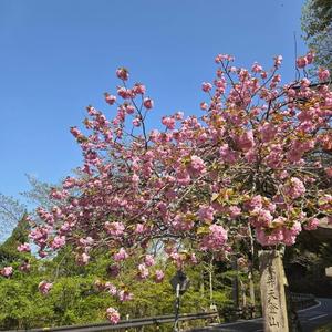 愛の奇跡(World Peace Song)