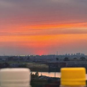 《借风把你带走》