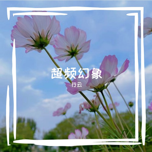 实证领域
