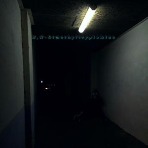 20mg (Wormhole Dance Party)