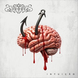 O link entre gerações