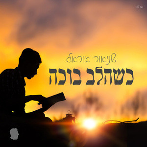 Kshehalev Boche