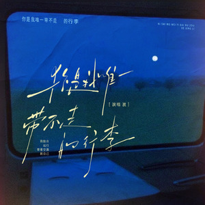 你是我唯一带不走的行李