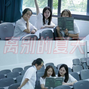 离别的夏天
