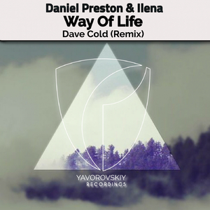 Way Of Life (Dave Cold Remix)