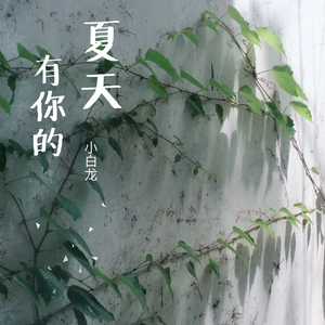 我不知道该不该