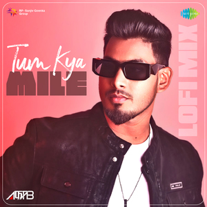 Tum Kya Mile - LoFi Mix