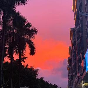 愿你少年三载赤诚终