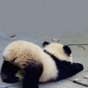 执迷不悟