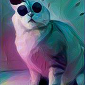 LAY和猫猫的不解之缘