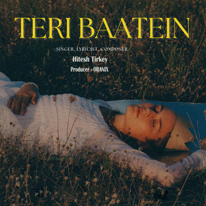 Teri Baatein