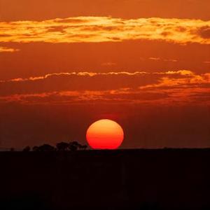 就让这大雨全都落下 (大头 Remix)