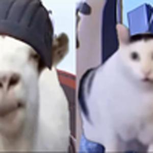 三国演义(啊？)