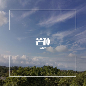 桑葚上的猴子-芒种REMIX（杨振宇 remix）