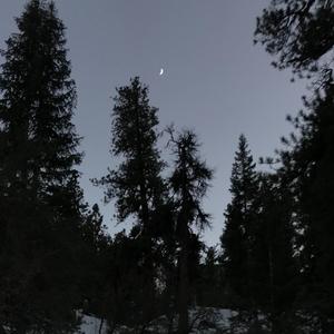 What Do You Want from Me? (Interlude)