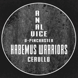 Habemus Warriors (Original Mix)