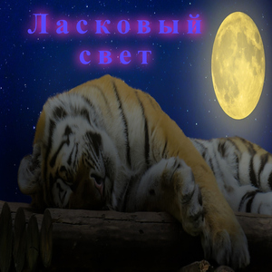 Уютная звезда