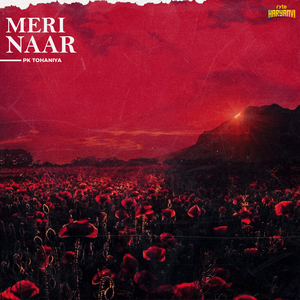 Meri Naar