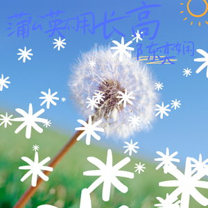 蒲公英不用长高