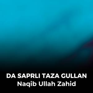 Bandi Khapa Sawalo Der Zrona