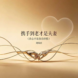 携手到老才是夫妻（真心不易各自珍惜）