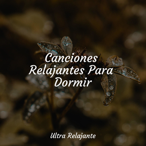 Brisa A Través De Las Edades