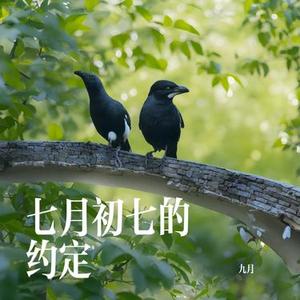 七月初七的约定