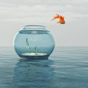 Free Yourself (Single)