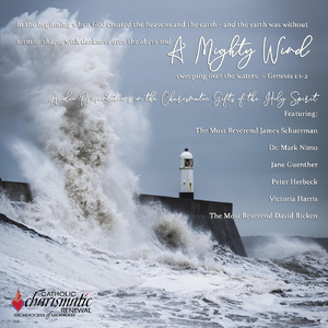 Discernment of Spirits (feat. Peter Herbeck)
