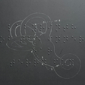 Labyrinth of the inner ear