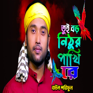 তুই বড় নিঠুর পাখি রে