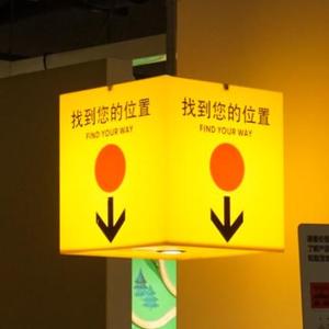 人妻的伪术（谢安琪 Cover）