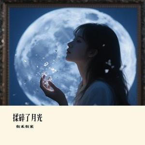 揉碎了月光