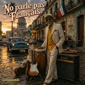 No parle pas Français
