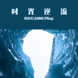 时光逆流(起复版)