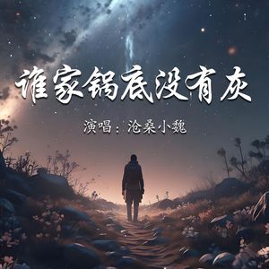 谁家锅底没有灰