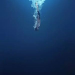 和你一起沉到海底