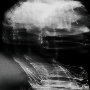 寂静之森Silent Forest