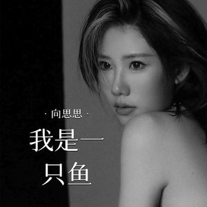 我是一只鱼 (DJ版)