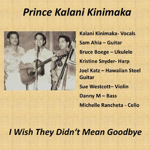 I Wish They Didnʻt Mean Goodbye