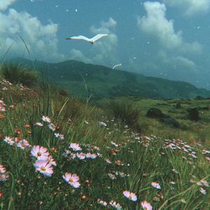 in a bloom