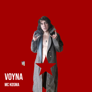 Voyna