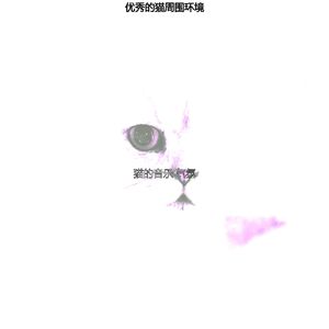 温和放松的猫梦想