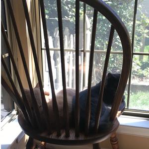 Morning Song Evening Song Morning Song