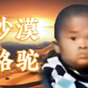 沙漠骆驼（范小勤）