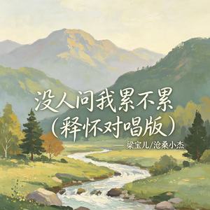 没人问我累不累（释怀对唱版）