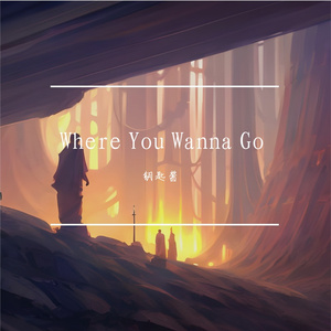 Where You Wanna Go