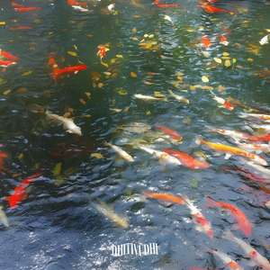 ขอแค่ได้บอกลา